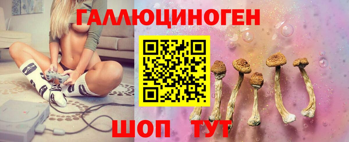 Галлюциногенные грибы Cubensis Ковров